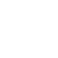 GM